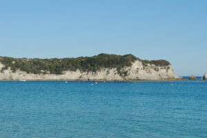photos 3